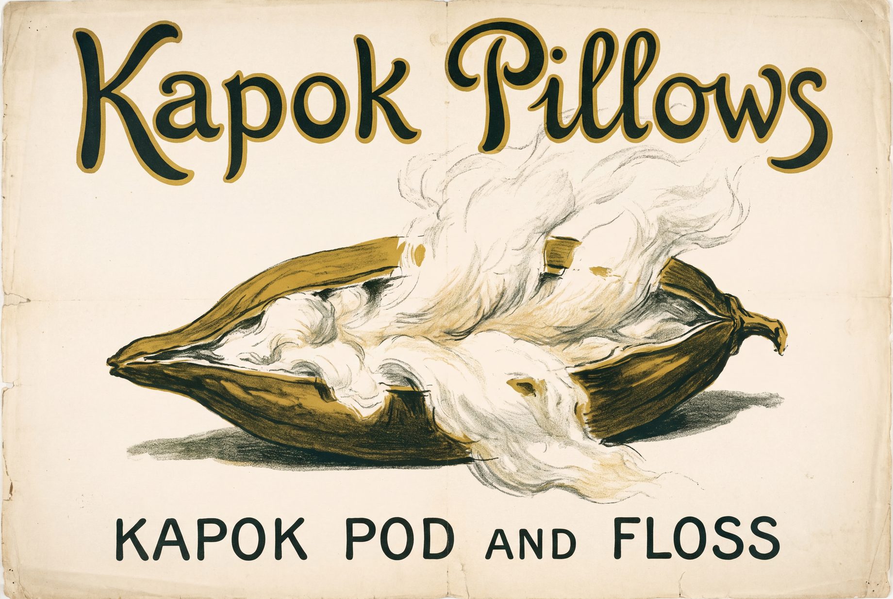 A flat-plane lithograph: a dark green kapok pod split open with white floss billowing out of it, on a wide mustard band above ivory ground.